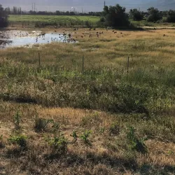 Legacy Nature Preserve - Centerville