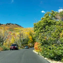 Wasatch Mountain State Park (nearby) - Centerville