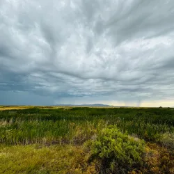 Farmington Bay Waterfowl Management Area - Farmington