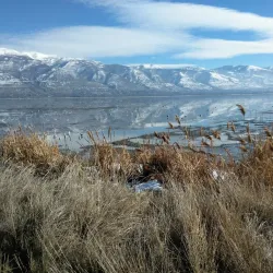 Farmington Bay Waterfowl Management Area - Farmington