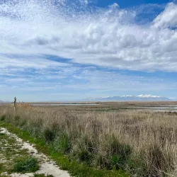 Farmington Bay Waterfowl Management Area - Farmington