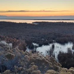 Farmington Bay Waterfowl Management Area - Farmington