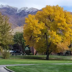 Farmington Golf Course - Farmington