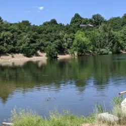 Farmington Pond - Farmington
