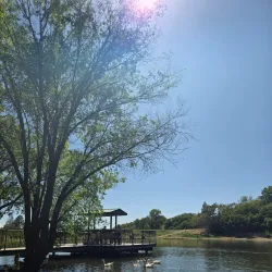 Farmington Pond - Farmington