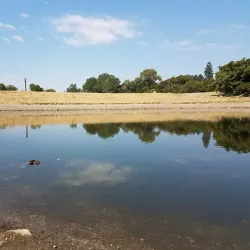 Farmington Pond - Farmington