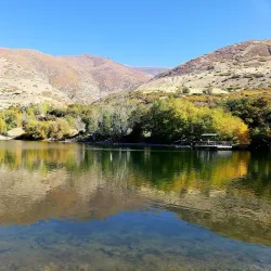 Farmington Pond - Farmington