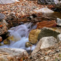 Farmington Pond - Farmington