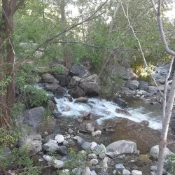 Farmington Pond - Farmington