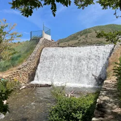 Farmington Pond - Farmington
