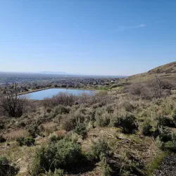 Farmington Pond - Farmington