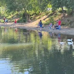 Farmington Pond - Farmington