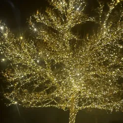 Heritage Park - Farmington