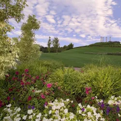 Ashton Gardens - Lehi