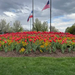 Ashton Gardens - Lehi