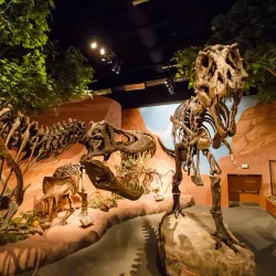 Lehi Historical Museum - Lehi