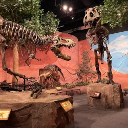 Lehi Historical Museum - Lehi