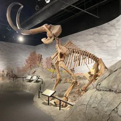 Lehi Historical Museum - Lehi