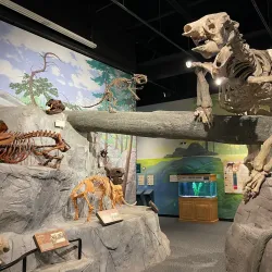 Lehi Historical Museum - Lehi