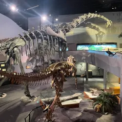 Lehi Historical Museum - Lehi