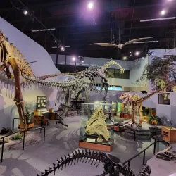 Lehi Historical Museum - Lehi