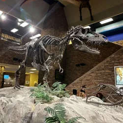 Lehi Historical Museum - Lehi