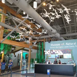 Museum of Natural Curiosity - Lehi