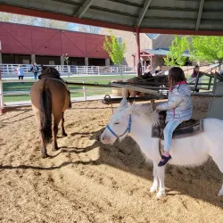 Thanksgiving Point - Lehi