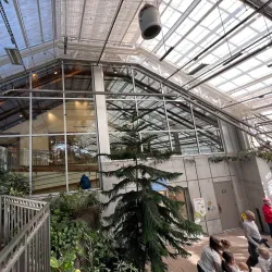 Thanksgiving Point - Lehi