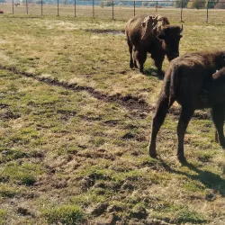 American West Heritage Center - Logan