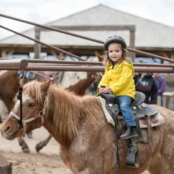 American West Heritage Center - Logan