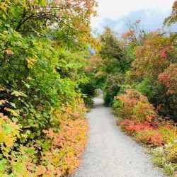 Logan Canyon Scenic Byway - Logan