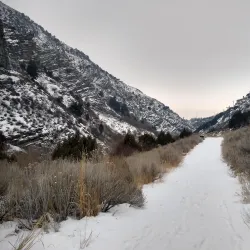 Logan Canyon Scenic Byway - Logan