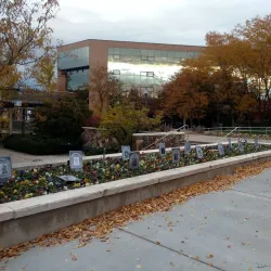 Utah State University - Logan