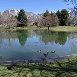 Utah State University - Logan