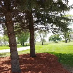 Mapleton Golf Course - Mapleton