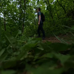 Mapleton Mountain Viewpoint - Mapleton