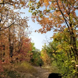 Mapleton Mountain Viewpoint - Mapleton