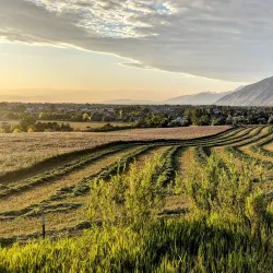Mapleton Nature Trail - Mapleton