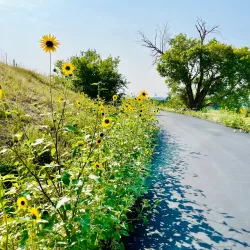Mapleton Nature Trail - Mapleton