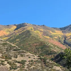 Mapleton Nature Trail - Mapleton