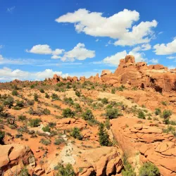 Arches National Park - Moab