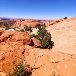 Colorado River - Moab