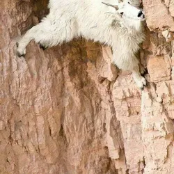 Dead Horse Point State Park - Moab