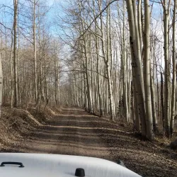 La Sal Mountains - Moab