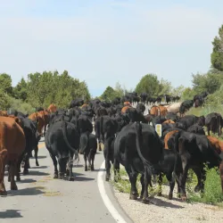 La Sal Mountains - Moab