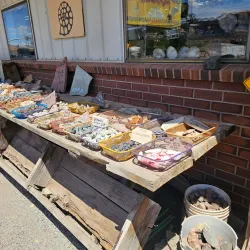 Moab Rock Shop & Museum - Moab