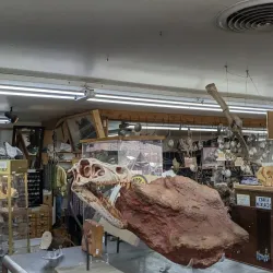 Moab Rock Shop & Museum - Moab