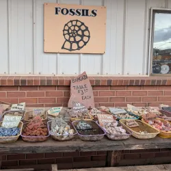 Moab Rock Shop & Museum - Moab