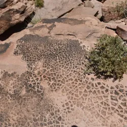 Potash Road Petroglyphs - Moab